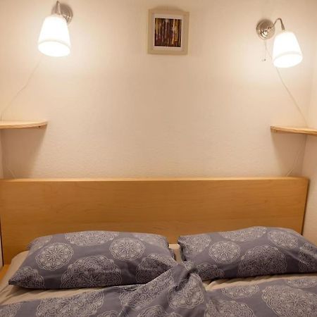 Gemuetliches 2P-Apartment In Ruhiger Lage Дрезден Екстер'єр фото