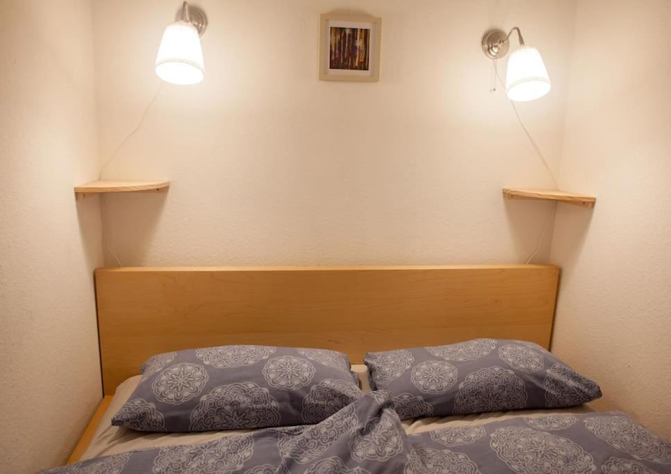 Gemuetliches 2P-Apartment In Ruhiger Lage Дрезден Екстер'єр фото